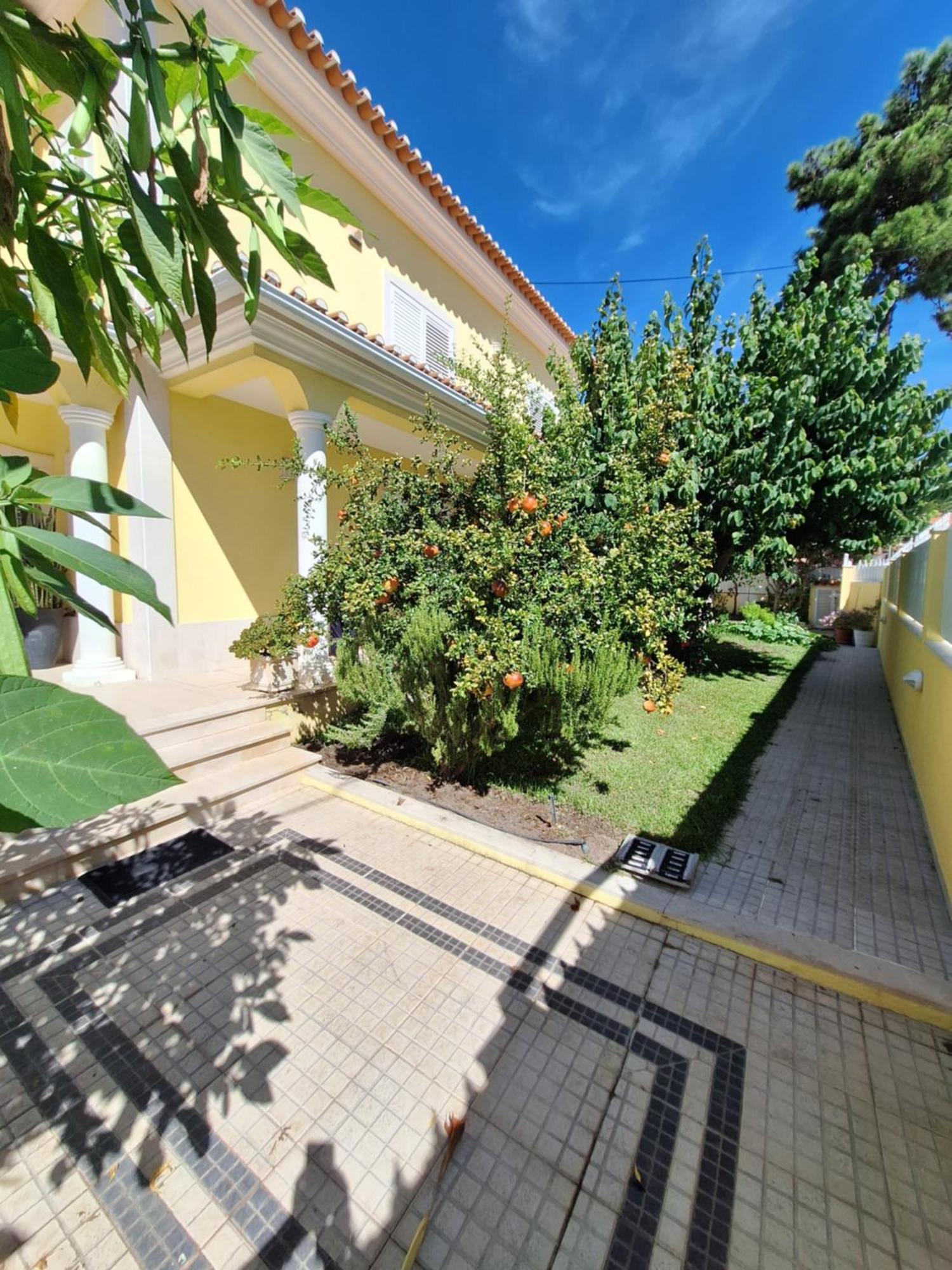 קורויוס B House Verdizela מראה חיצוני תמונה